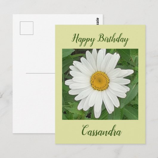 Witte Daisy Verjaardag Briefkaart (Voorkant / Achterkant)