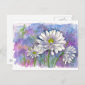Witte Daisy Waterverf Bloemen Blauw Briefkaart (Voorkant / Achterkant)