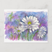 Witte Daisy Waterverf Bloemen Blauw Briefkaart (Voorkant)