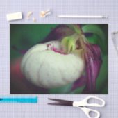 Witte Dame Slipper Orchid Flower Decoupage Tissuepapier (Craft)