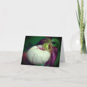 Witte Dame Slipper Orchidee Bloem Fotografie Notit Kaart (Voorkant)