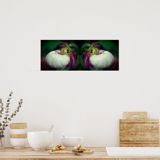 Witte Dame Slipper Orchidee Bloem Gespiegeld Poster (Keuken)