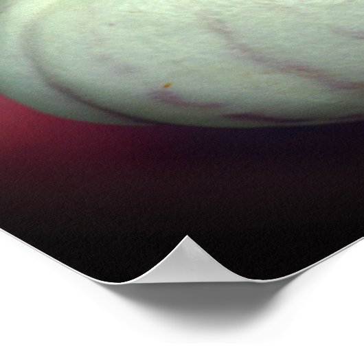 Witte Dame Slipper Orchidee Bloem Gespiegeld Poster (Hoek)