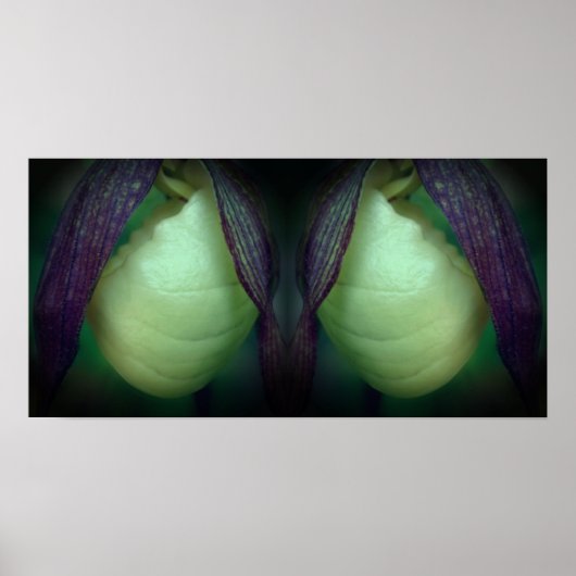 Witte Dame Slipper Orchidee Flower Mirror Abstract Poster (Voorkant)