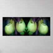 Witte Dame Slipper Orchidee Flowers Spiegel Abstra Poster (Voorkant)