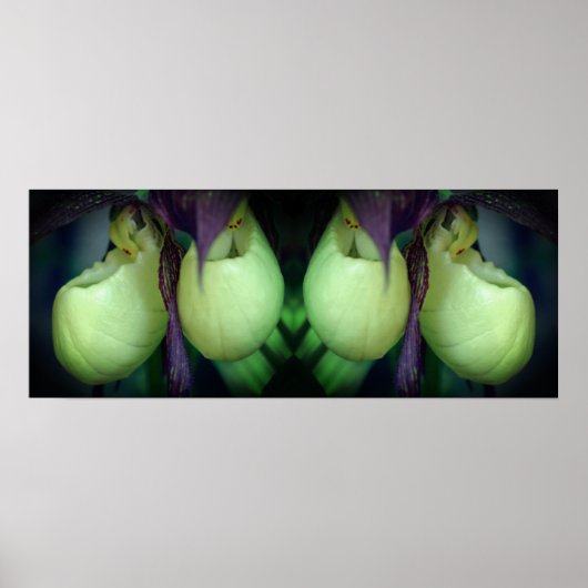 Witte Dame Slipper Orchidee Flowers Spiegel Abstra Poster (Voorkant)