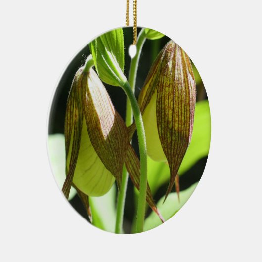 Witte Dame Slipper Pair Flower Ornament (Rechts)