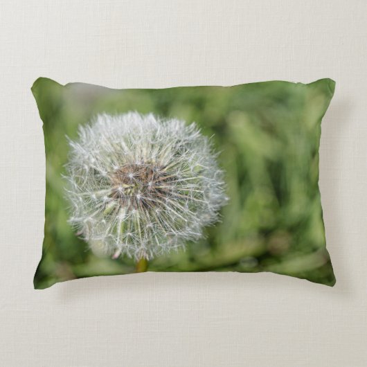 Witte dandelion bloem op groen gras accent kussen (Voorkant)