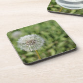 Witte dandelion bloem op groen gras bier onderzetter (Linkerzijde)