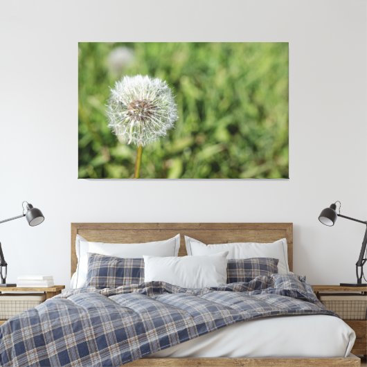 Witte dandelion bloem op groen gras canvas afdruk (Insitu (Slaapkamer))