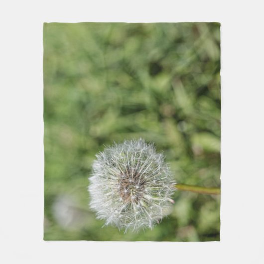 Witte dandelion bloem op groen gras fleece deken (Voorkant)