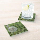 Witte dandelion bloem op groen gras glazen onderzetter (Schuin)