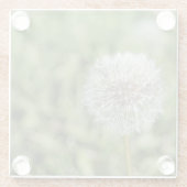 Witte dandelion bloem op groen gras glazen onderzetter (Achterkant)