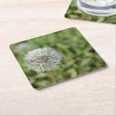 Witte dandelion bloem op groen gras kartonnen onderzetters (Schuin)