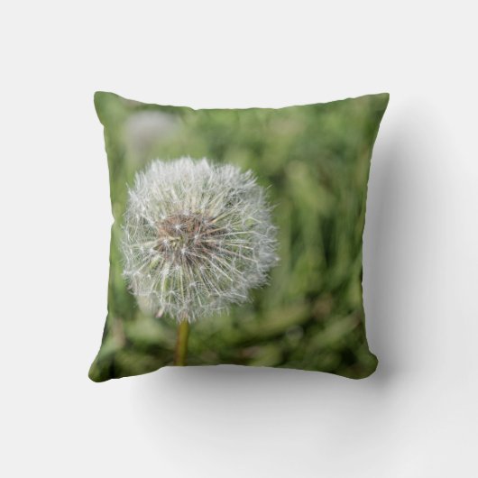 Witte dandelion bloem op groen gras kussen (Achterkant)