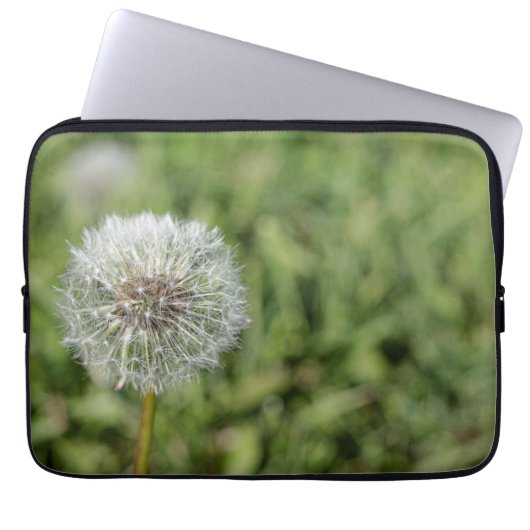 Witte dandelion bloem op groen gras laptop sleeve (Voorkant)
