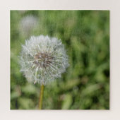 Witte dandelion bloem op groen gras legpuzzel (Verticaal)