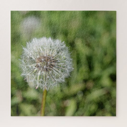 Witte dandelion bloem op groen gras legpuzzel (Verticaal)