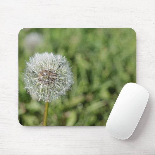 Witte dandelion bloem op groen gras muismat (Met muis)