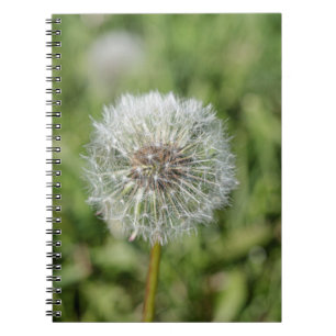 Witte dandelion bloem op groen gras notitieboek