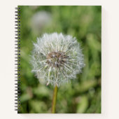 Witte dandelion bloem op groen gras notitieboek (Voorkant)