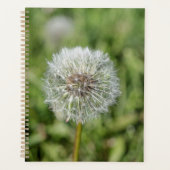 Witte dandelion bloem op groen gras planner (Voorkant)