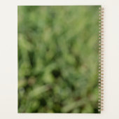 Witte dandelion bloem op groen gras planner (Achterkant)