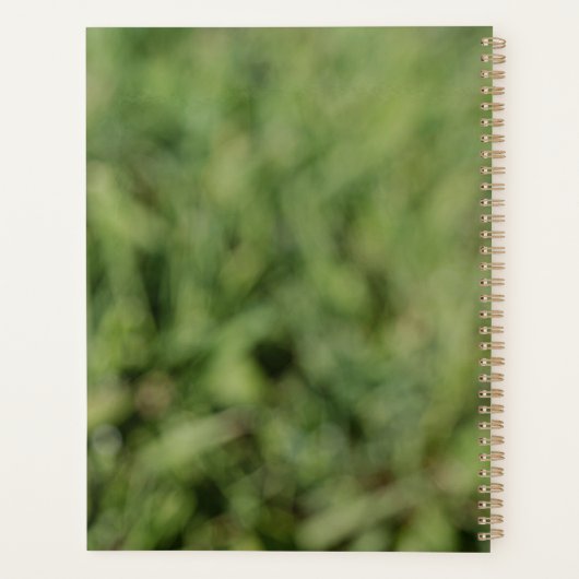 Witte dandelion bloem op groen gras planner (Achterkant)