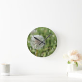 Witte dandelion bloem op groen gras ronde klok (Huis)