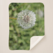 Witte dandelion bloem op groen gras sherpa deken (Voorkant)