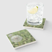 Witte dandelion bloem op groen gras stenen onderzetter (Zijkant)