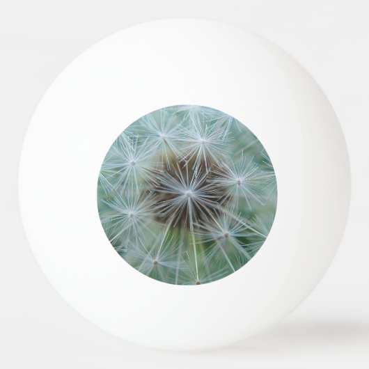 Witte dandelionpatroon pingpongbal (Voorkant)