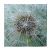 Witte dandelionpatroon tegeltje (Voorkant)