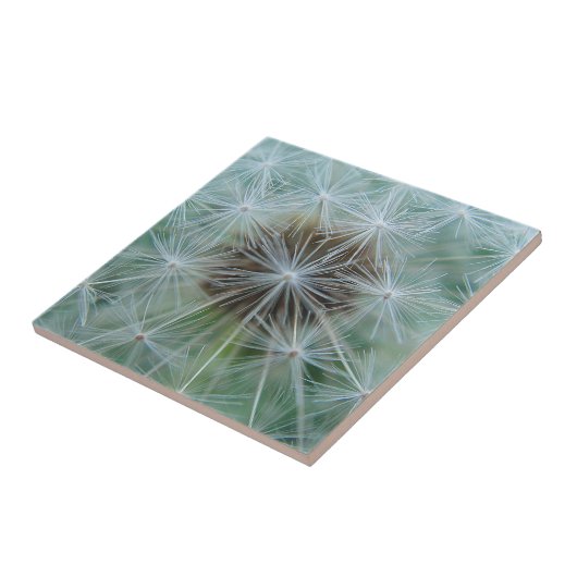 Witte dandelionpatroon tegeltje (Zijkant)