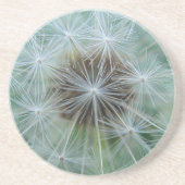 Witte dandelionpatroon zandsteen onderzetter (Voorkant)