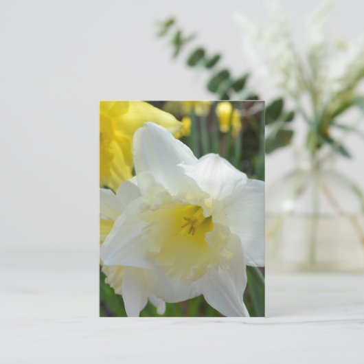 Witte deffodil met geel midden briefkaart (Staand voorkant)