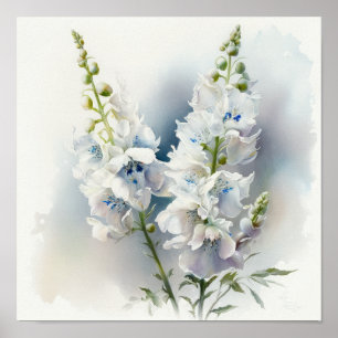 Witte Delphinium Bloem Kunstprint Poster