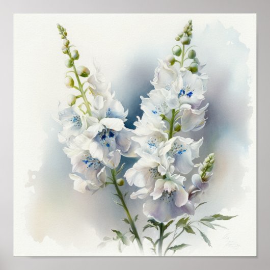 Witte Delphinium Bloem Kunstprint Poster (Voorkant)