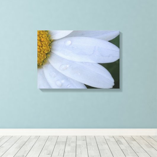 Witte Dewy Daisy Closeup Canvas Print (Insitu (Houten vloer))