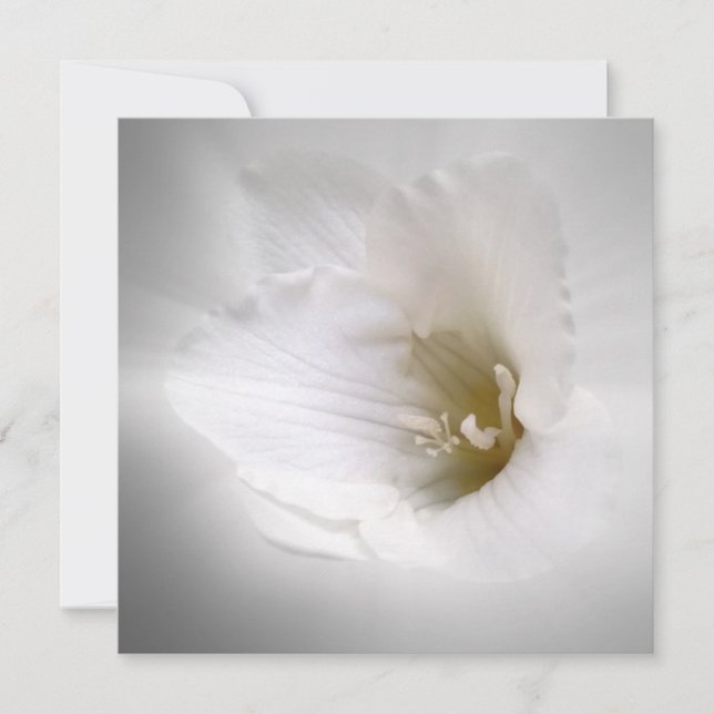 witte diepte (Voorkant)