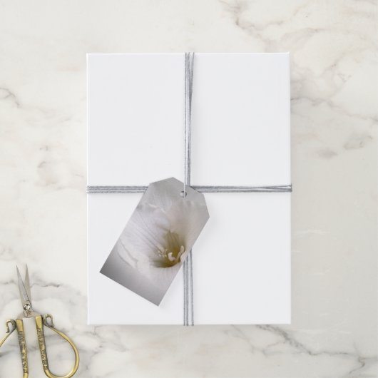 witte diepte cadeaulabel (Met Touw)