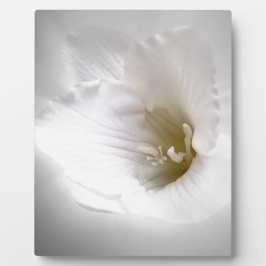 witte diepte fotoplaat (Voorkant)