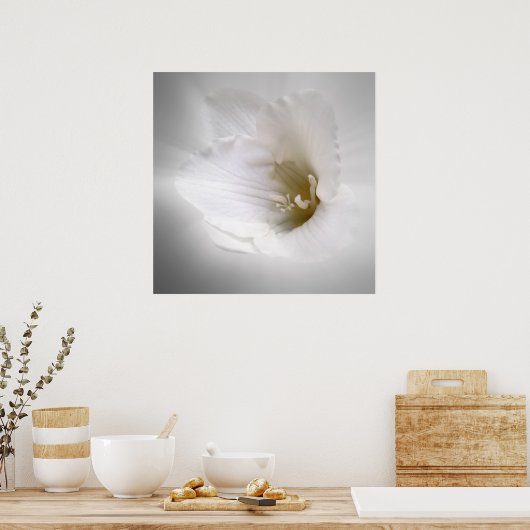 witte diepte poster (Keuken)