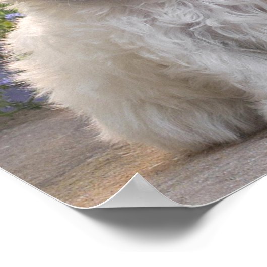 Witte dieren poster (Hoek)