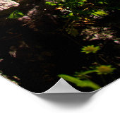 Witte dijsen in bloei, verneveld in rots poster (Hoek)