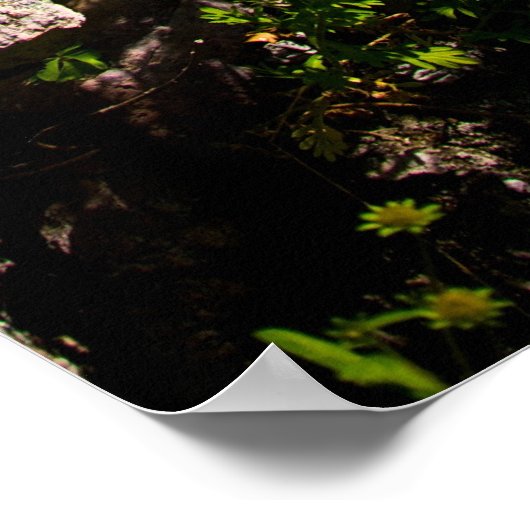 Witte dijsen in bloei, verneveld in rots poster (Hoek)