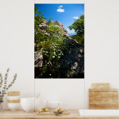 Witte dijsen in bloei, verneveld in rots poster (Keuken)