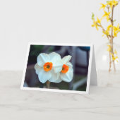 Witte diolbloemen kaart (Gele Bloem)