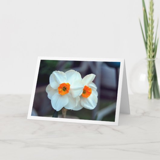 Witte diolbloemen kaart (Voorkant)