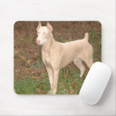 witte doberman muismat (Met muis)